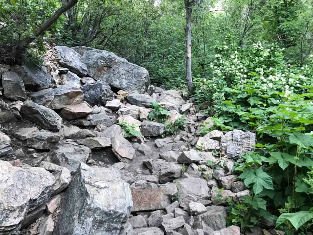 end of waterfall canyon trail