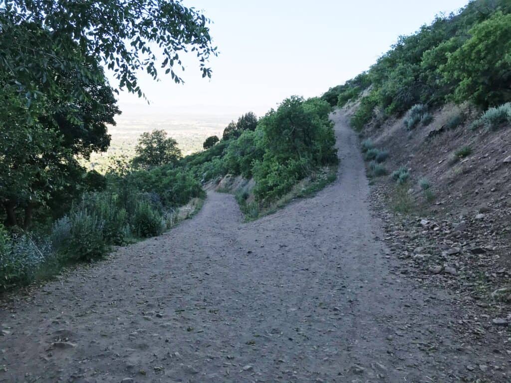 waterfall canyon trail junction