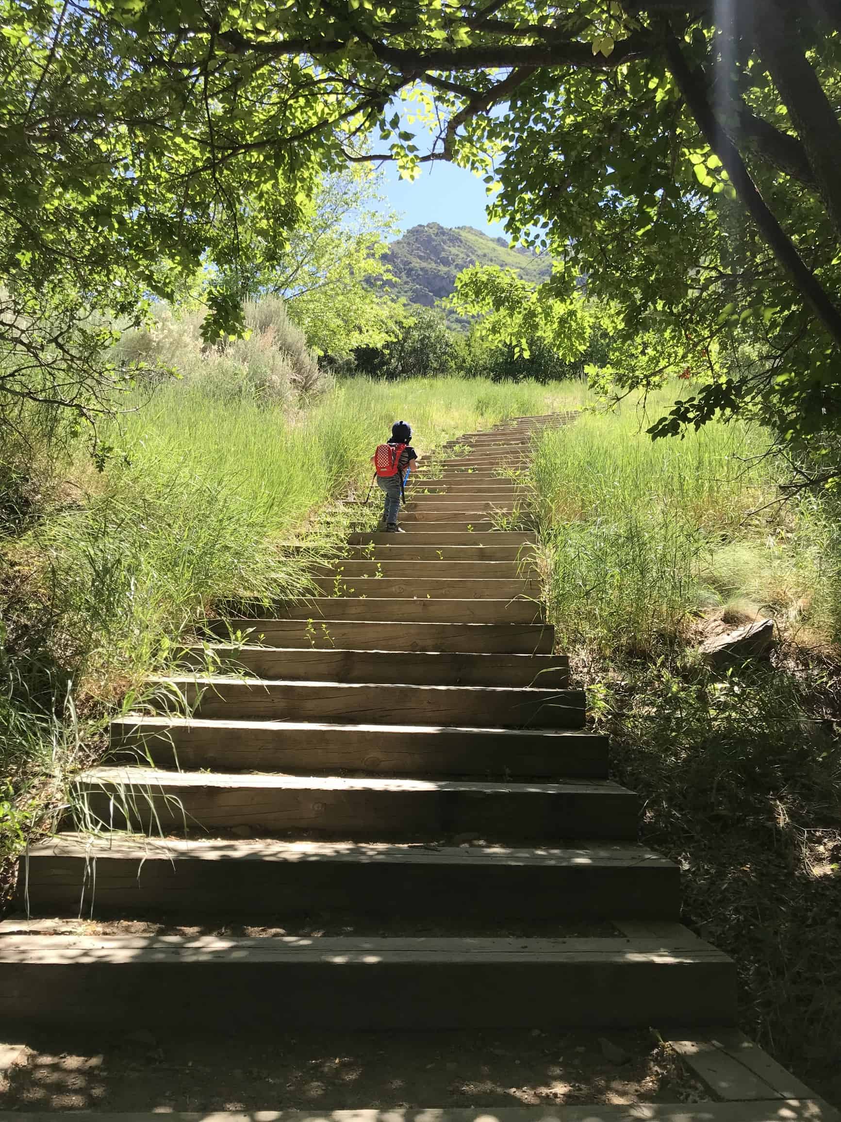 1st flight of stairs on rocky mouth falls trail