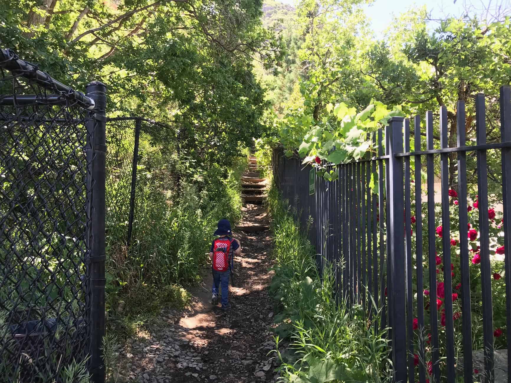 second stairs of rocky mouth falls trail