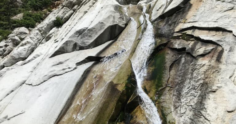 Lisa Falls