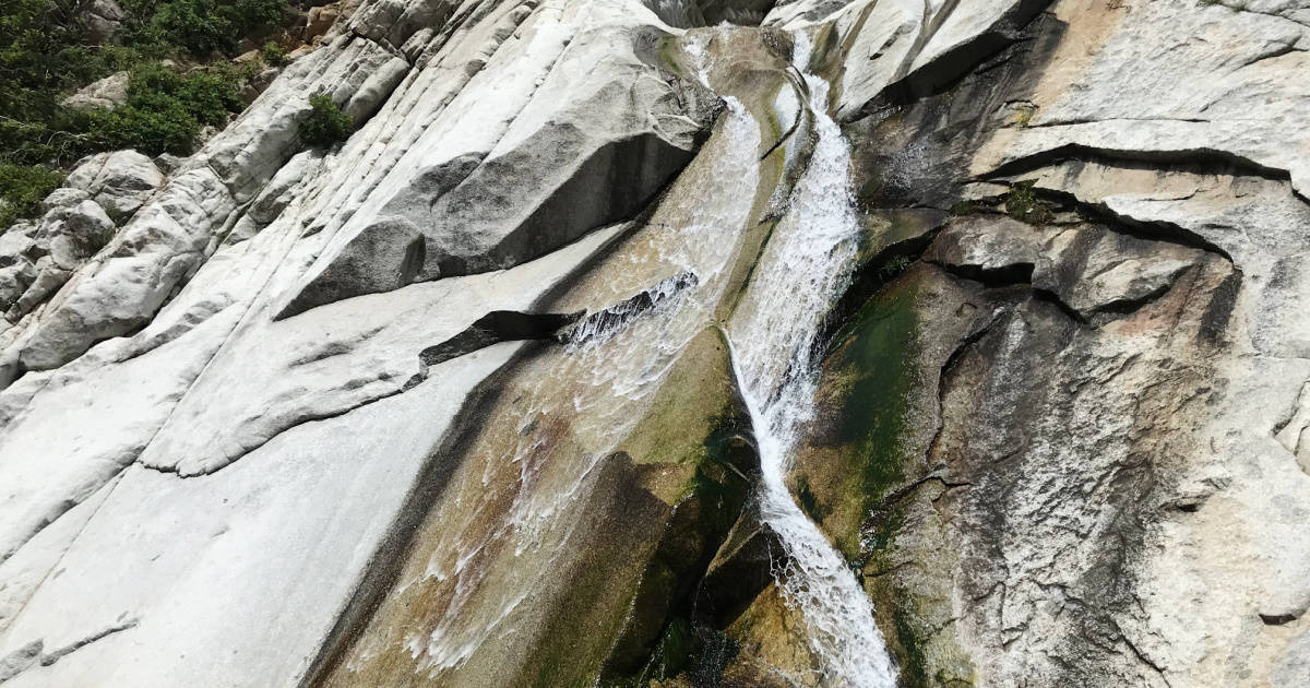 Lisa Falls