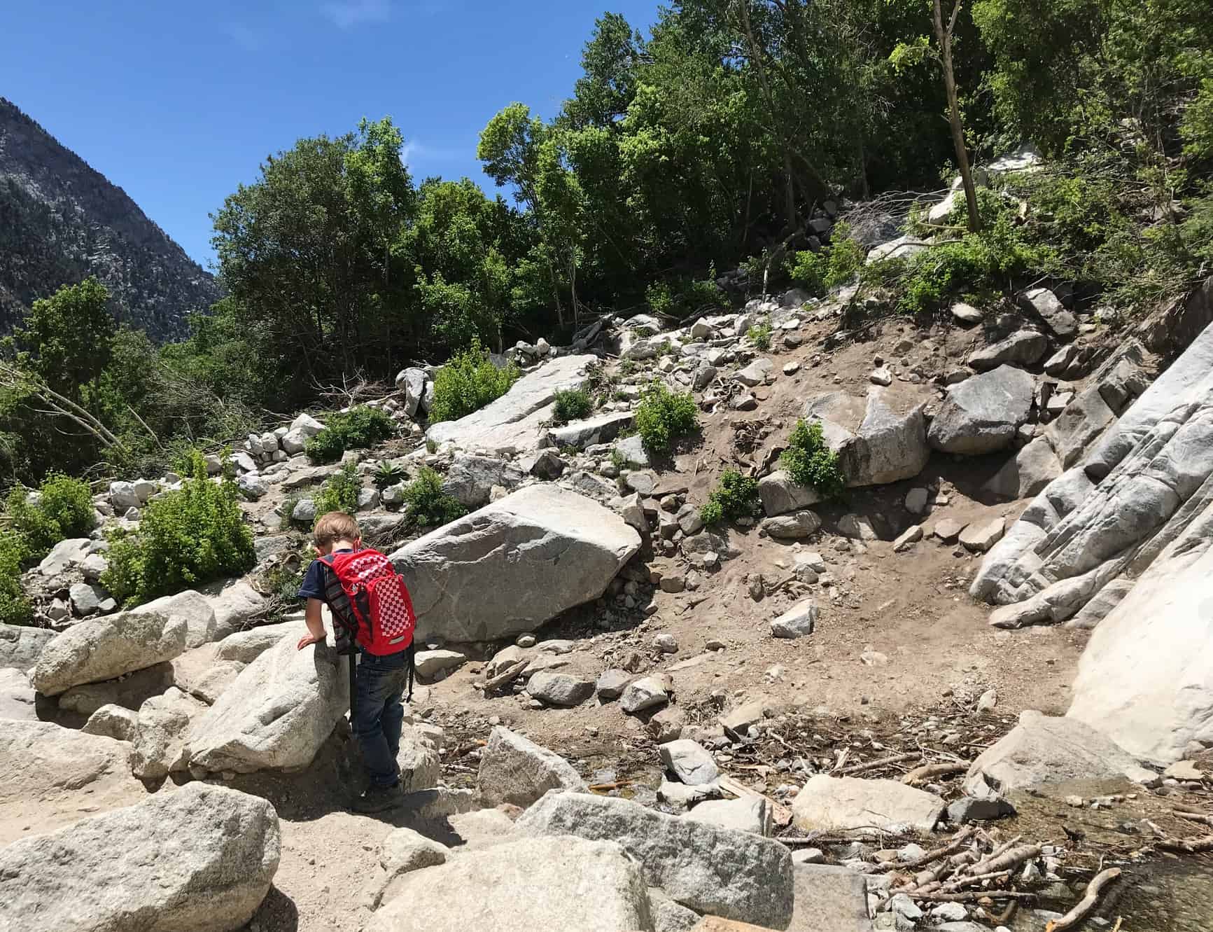 debris at base of Lisa Falls