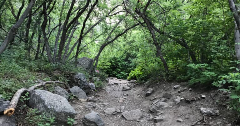Waterfall Canyon Trail