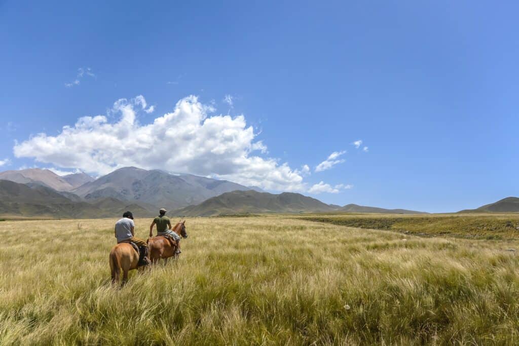 Horseback Riding Beaver Creek Lodge