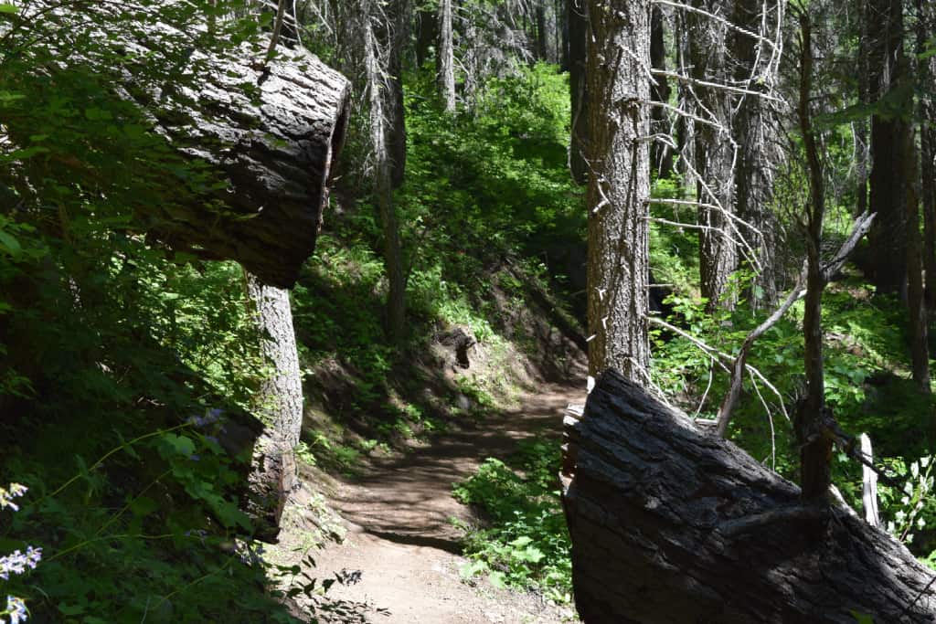 Goose Creek Falls Trail