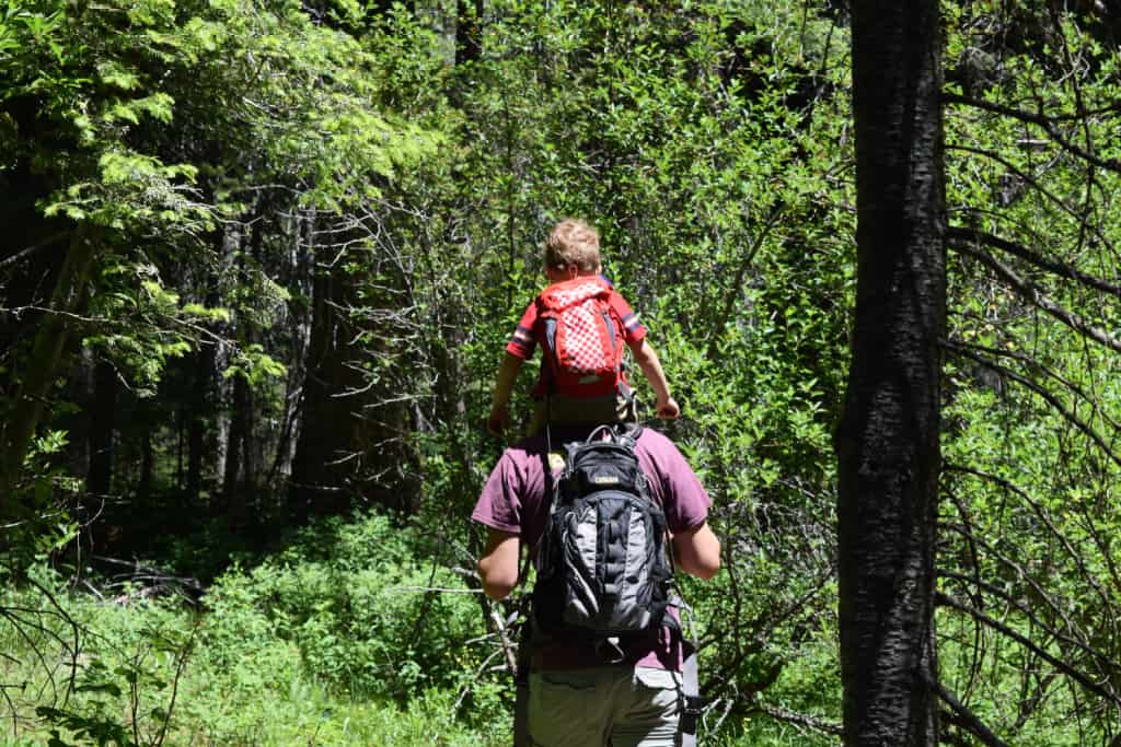 Goose Creek Falls Trail