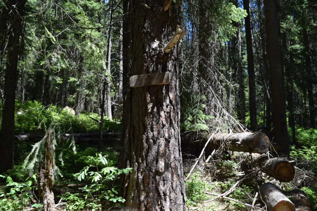 Sign for goose creek falls trail