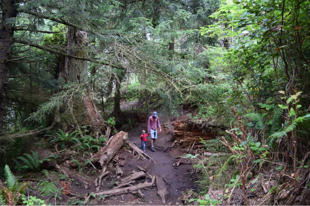 Ecola Point to Indian Beach Trail is now open