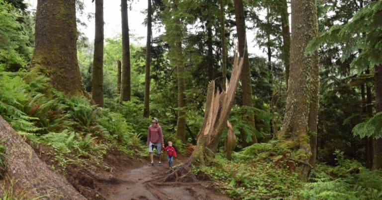 Hiking Guide to the New Ecola Point to Indian Beach Trail