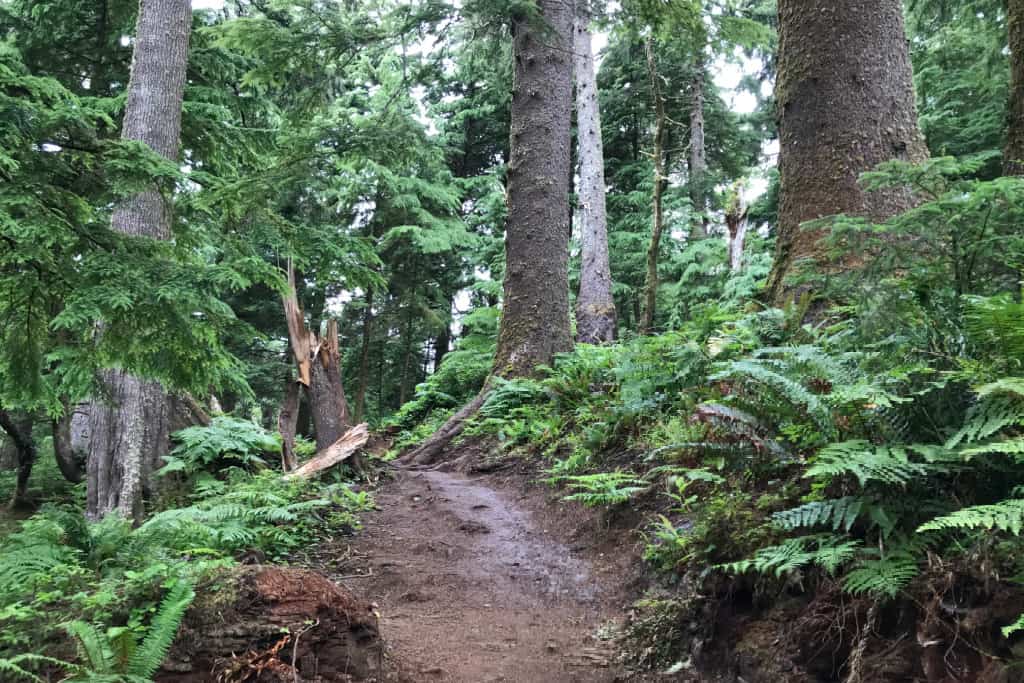 Ecola Point to Indian Beach Trail